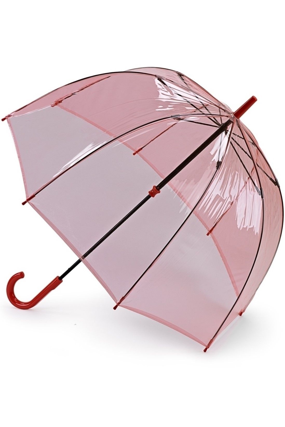 Любимый зонтик. Зонтик. Зонт-трость прозрачный. Зонт прозрачный. Зонтик женский.