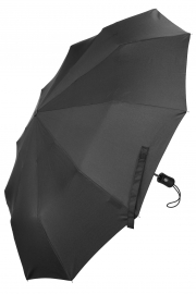 Sponsa   Sp8225